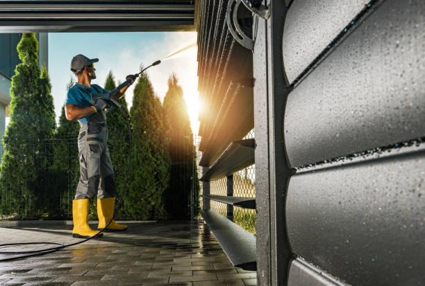 Best Local Pressure Washing Services  in West Point, MS